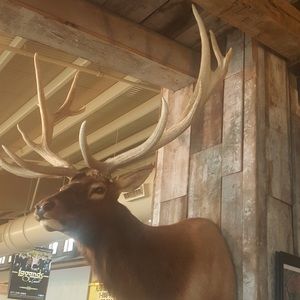 Meet your Posher, Carl